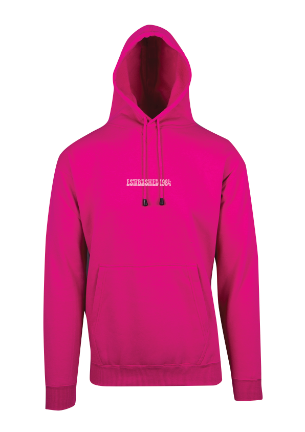 ARTISTIC SWIMMING HOODIE - ESTABLISHED 1984 - ASSORTED COLOURS