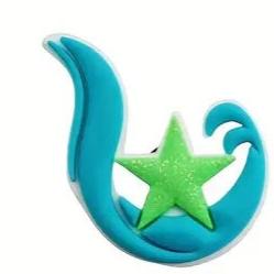 SHOE CHARM  - STAR WATER