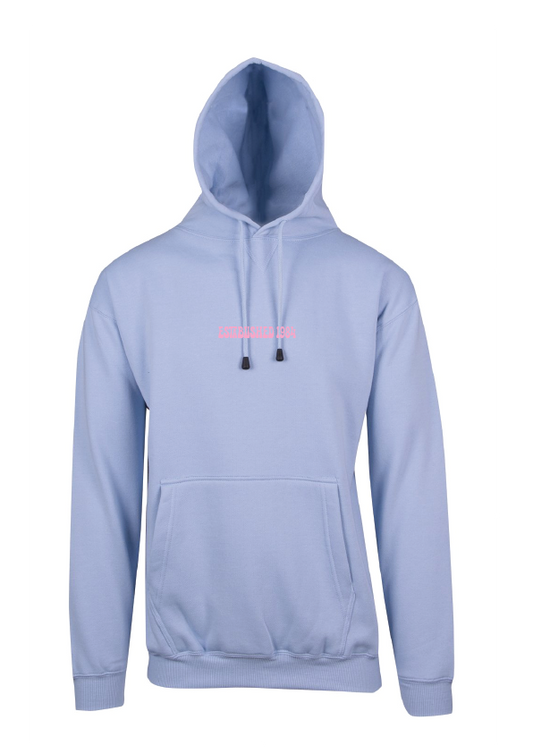 ARTISTIC SWIMMING HOODIE - ESTABLISHED 1984 - ASSORTED COLOURS