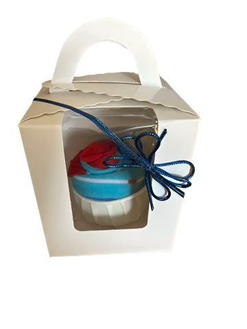 Gifted Boxed Socks - LANES