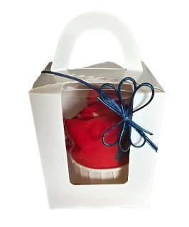 Gifted Boxed Socks - Rule the pool Red/Pink