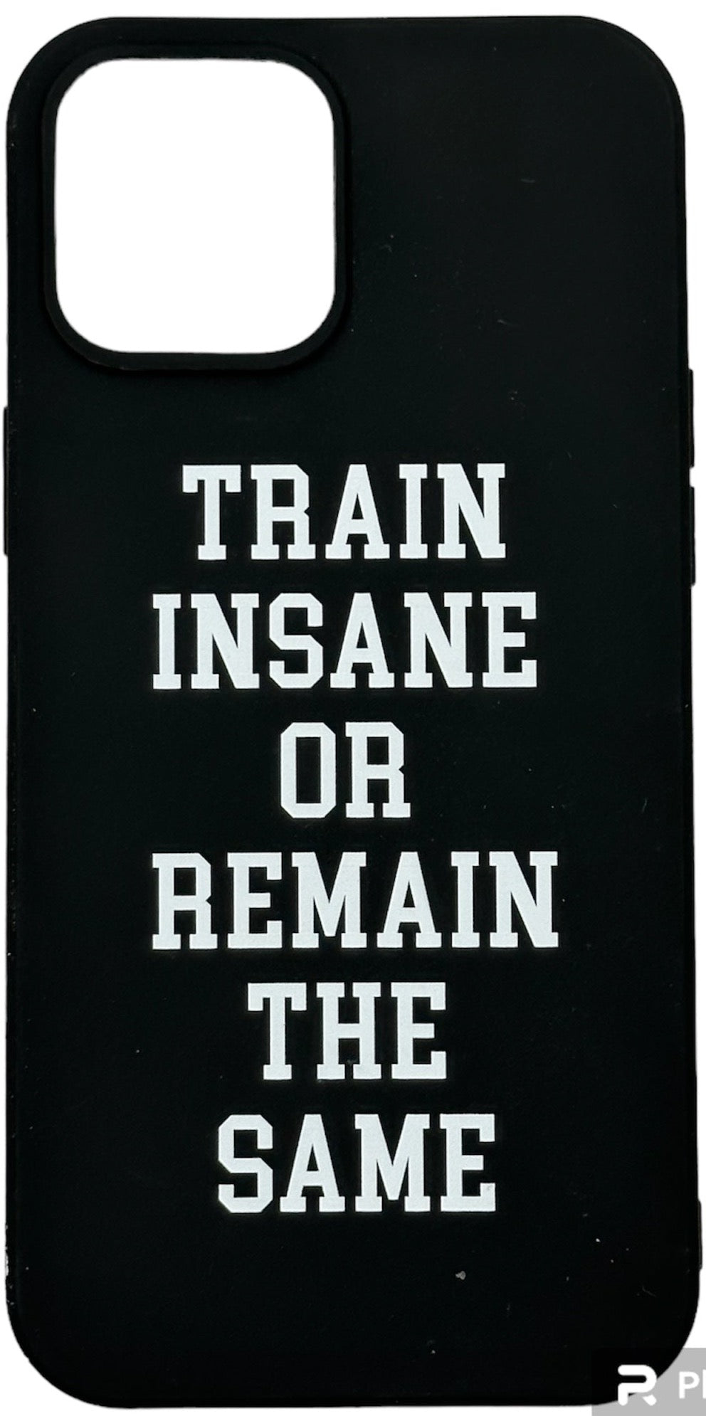 iPhone Cover - "TRAIN INSANE OR REMAIN THE SAME"